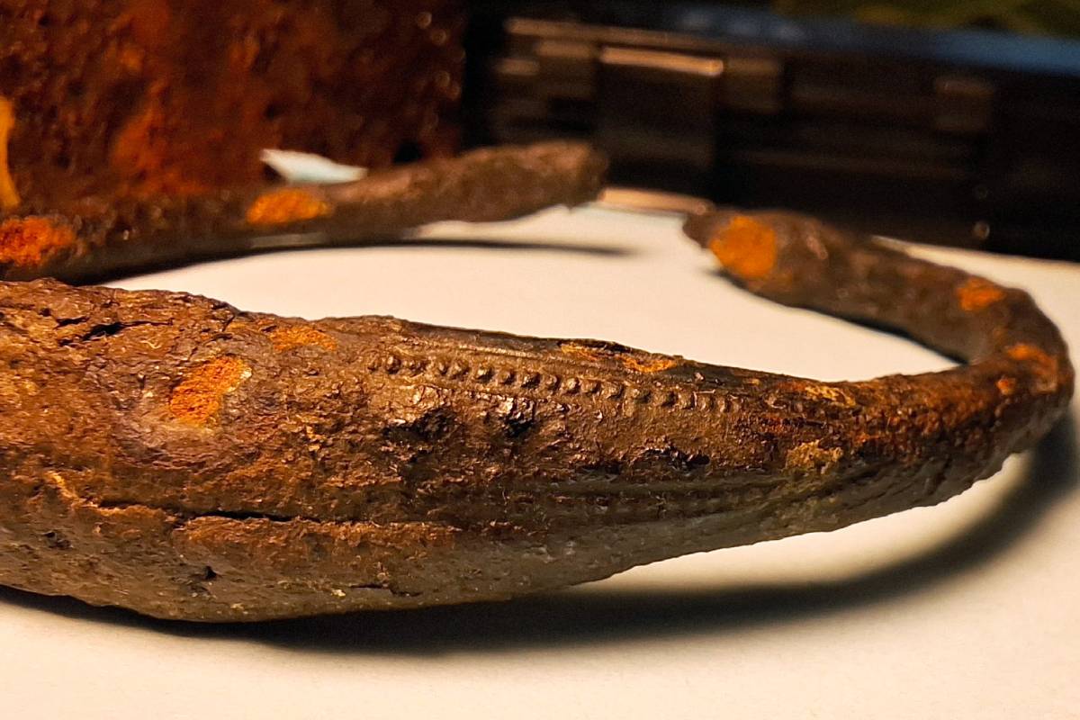 A rare Viking Age arm ring made of iron has been unearthed by a private individual in the wetlands of Öland, Sweden.