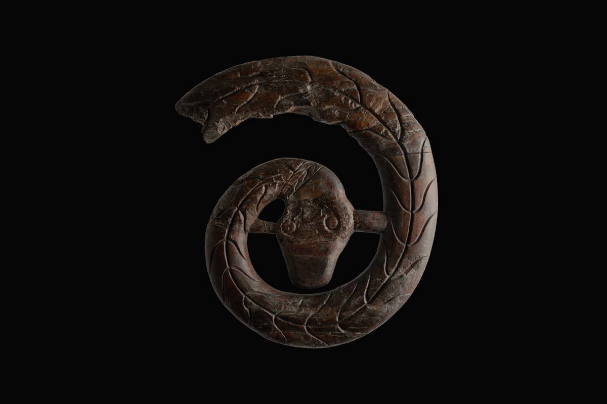 The original serpent's head from the Oseberg ship, long kept in storage due to its fragility, is going on public display for the first time.