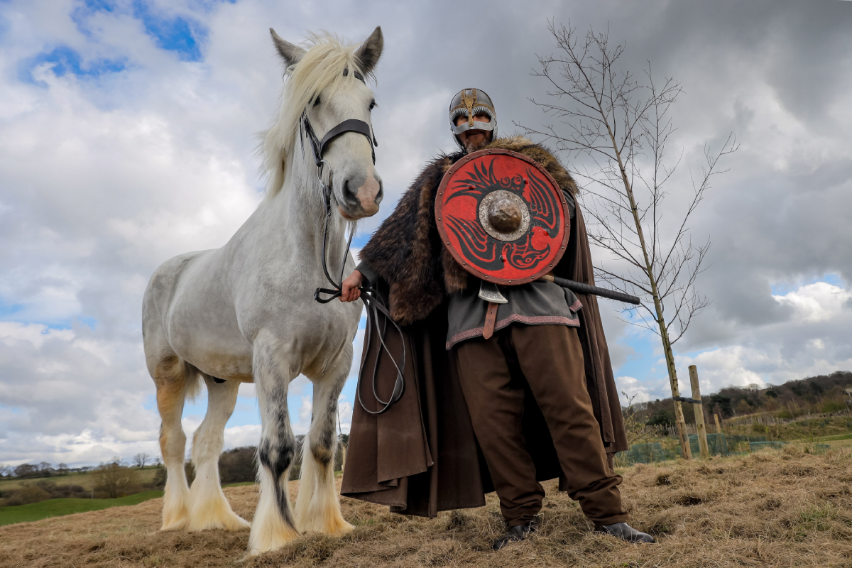 Auckland Castle's historical showcase, Kynren, will highlight Cosmo, a distinguished member of the grey shire horse breed, which boasts fewer than 200 known members worldwide.