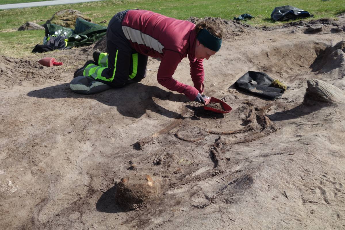 Archeologists in Norway uncovered a Viking Age boat burial on the island of Senja that contained a high-status woman and a dog.