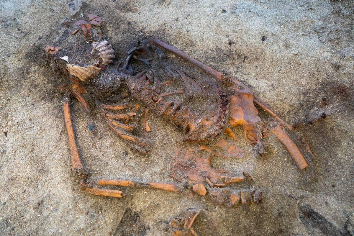 A Viking Age woman's grave near Bjugn in Trøndelag contains scallop shells placed at each side of her head, a combination rarely seen in pre-Christian Norway.