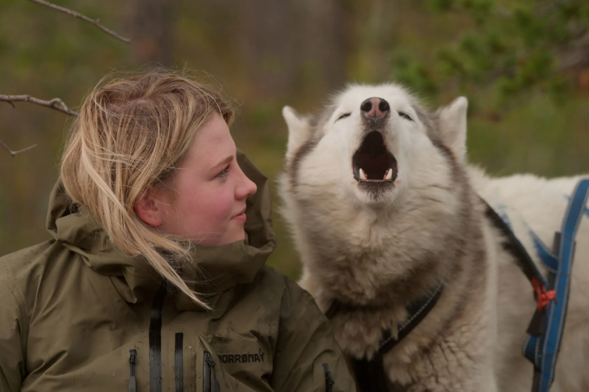 "Folktales" captures what happens when modern teens take a break from everyday life to live, learn, and grow in the Arctic wild with a pack of sled dogs.