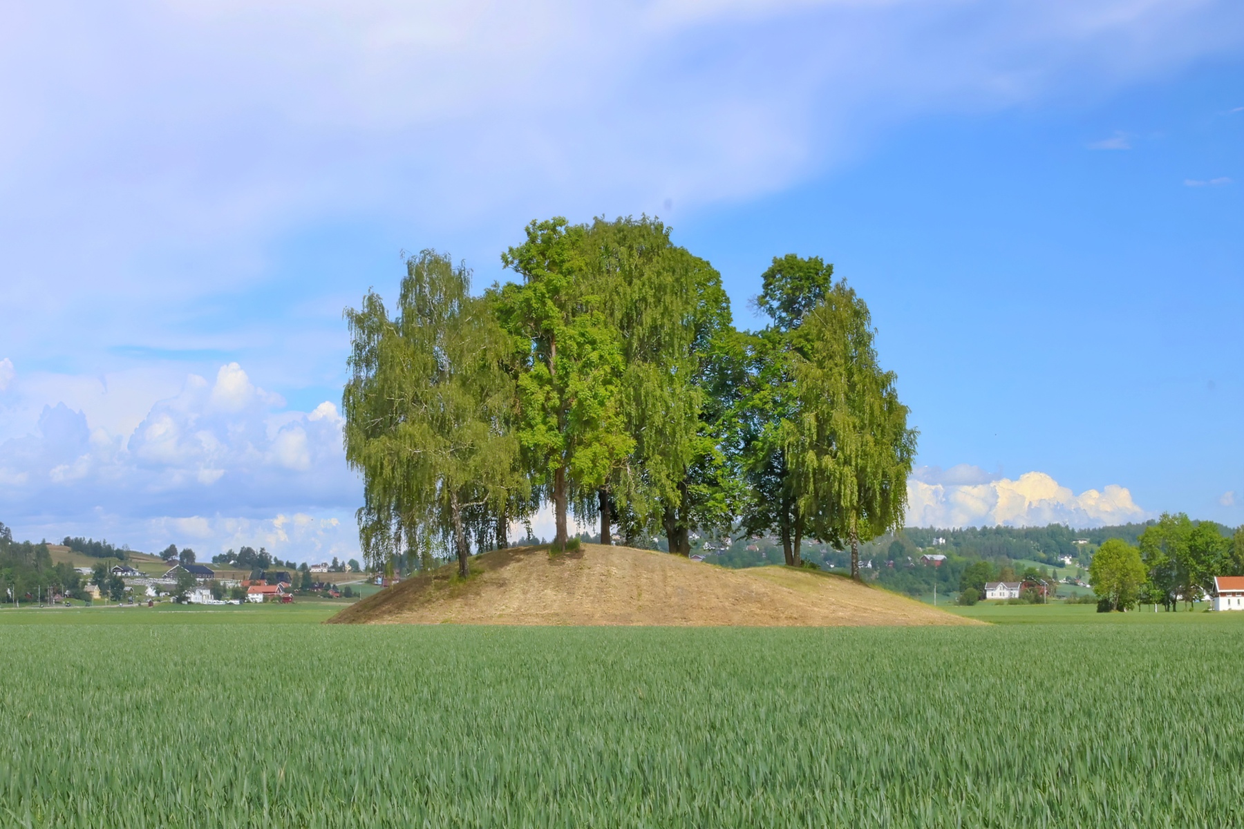 Halvdanshaugan (Halfdan's Mound) in Ringerike. Source: Brian M. Talgo