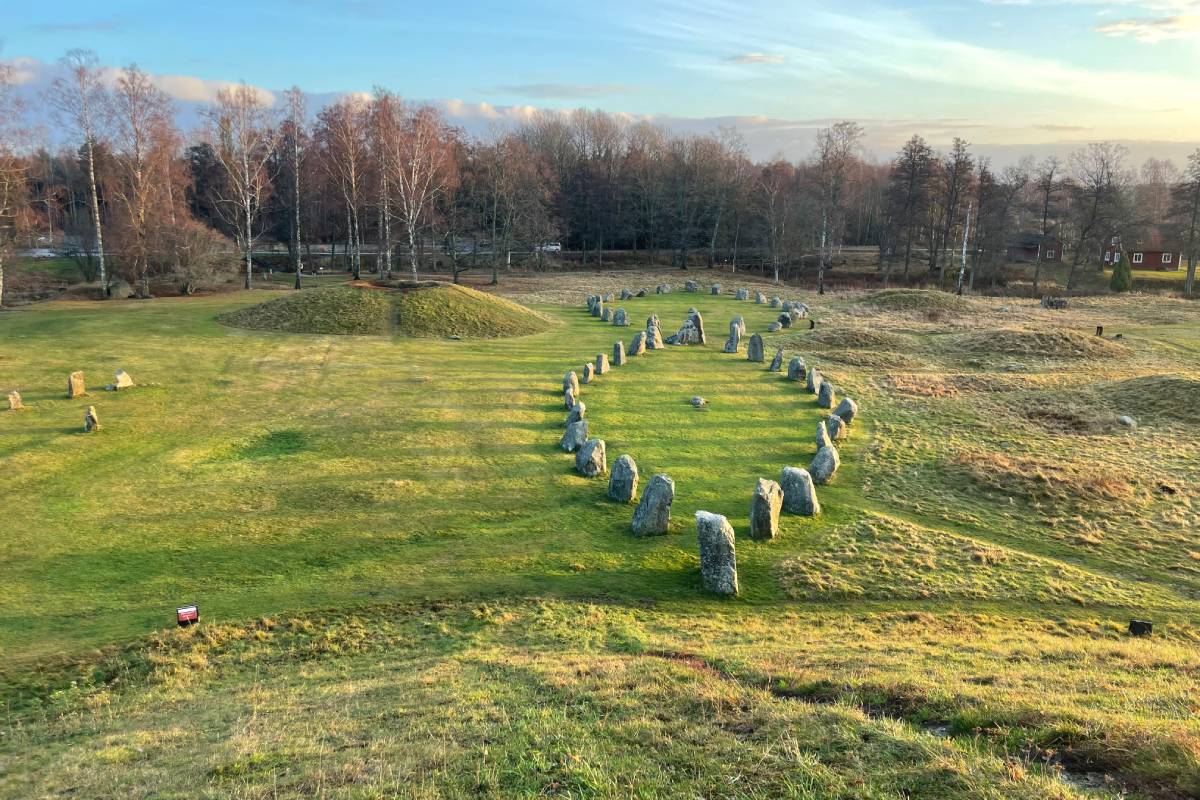 Archeologists discovered close to 60 shallow pits near Anundshög, believed to have been made by experienced looters using metal detectors.