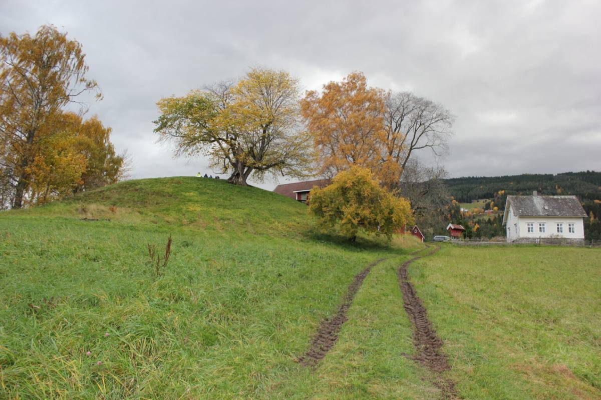 Ground-penetrating radar confirms that Karnilshaugen, Western Norway’s largest burial mound, was artificially constructed during the Migration Period.