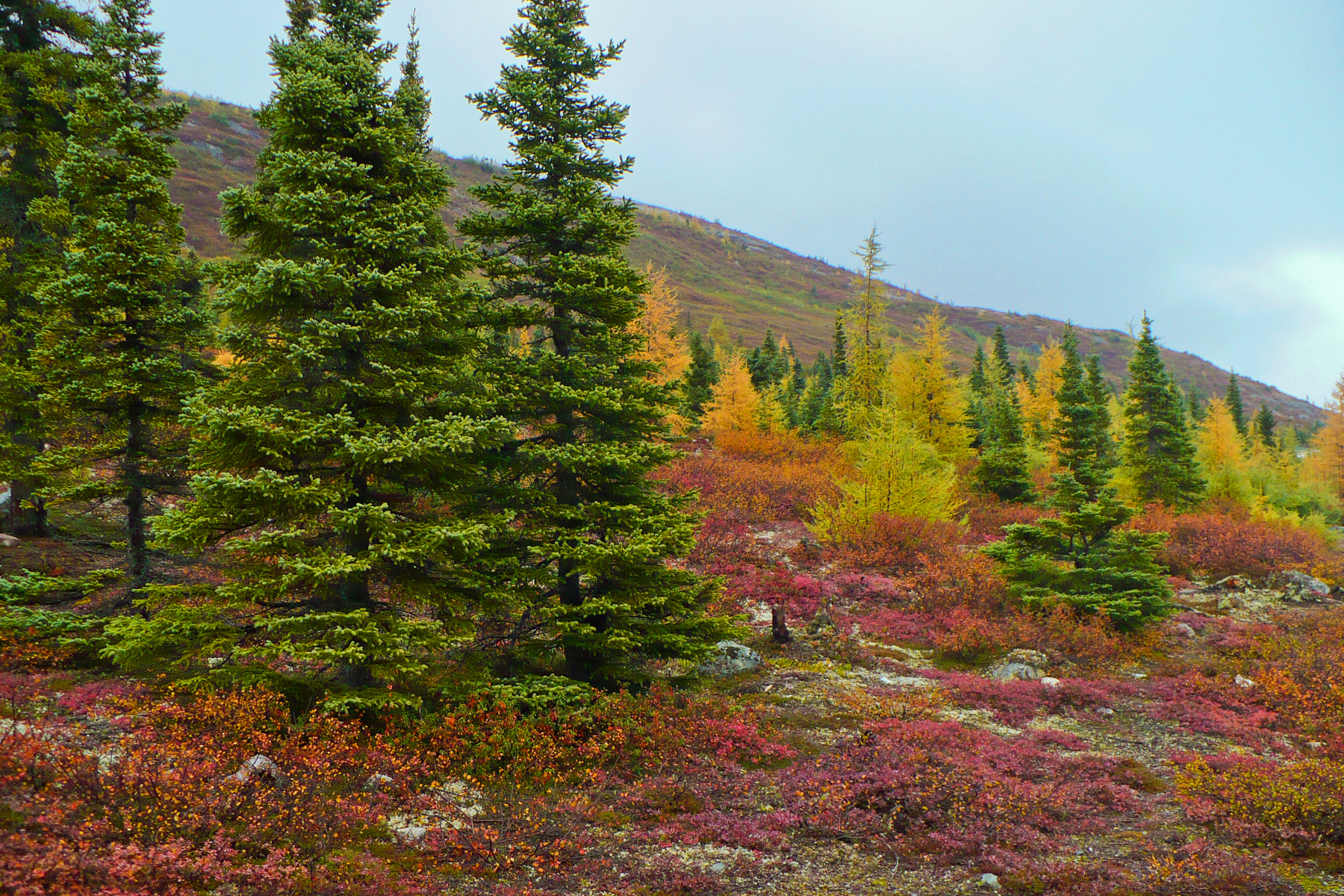 Nain, in Labrador.