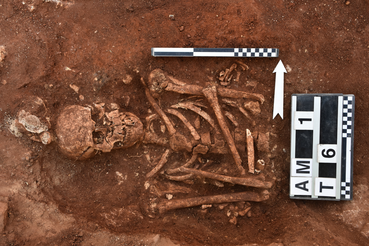 The 2018 discovery of tall skeletons by Polish archeologists at Santa Maria di Campogrosso in Sicily has led to an investigation into whether these remains are of Norse or Norman descent.