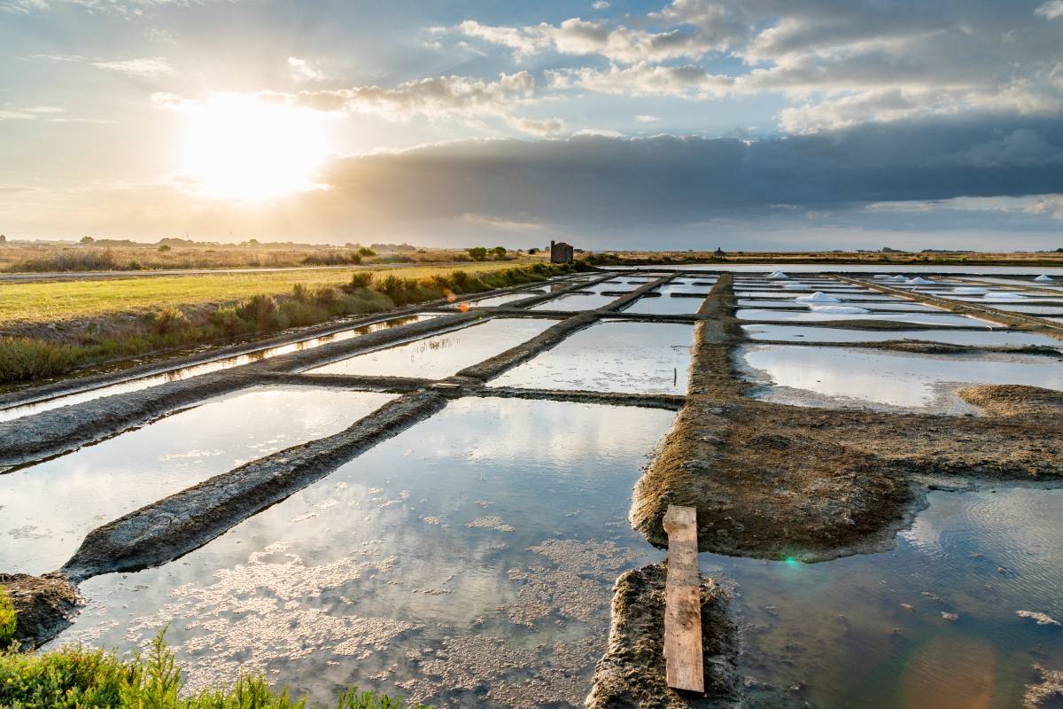 Salt marshes at Noirmoutier, France. These traditional coastal pans have been in use for centuries and may have drawn the attention of Viking raiders as early as 799 CE.