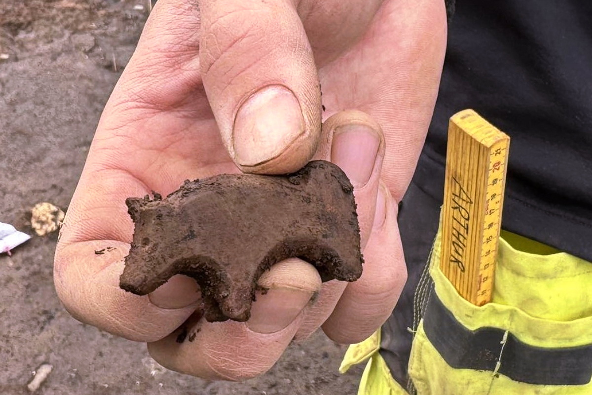 We take a detailed look at ten Viking Age-related finds that gained significant attention in 2024.