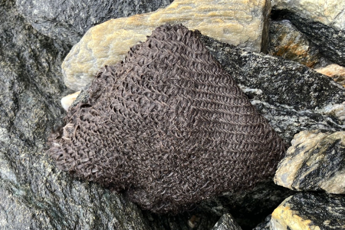 The team made a significant find during a brief trip near the Lendbreen ice patch – a centuries-old textile fragment that remains almost fully intact.