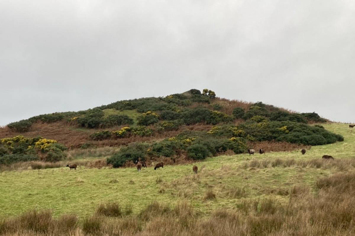Steve Dickinson's fieldwork in Cumbria, England, focuses on a large coastal mound that he argues fits later traditions about Ivar the Boneless and a Norse ship burial.