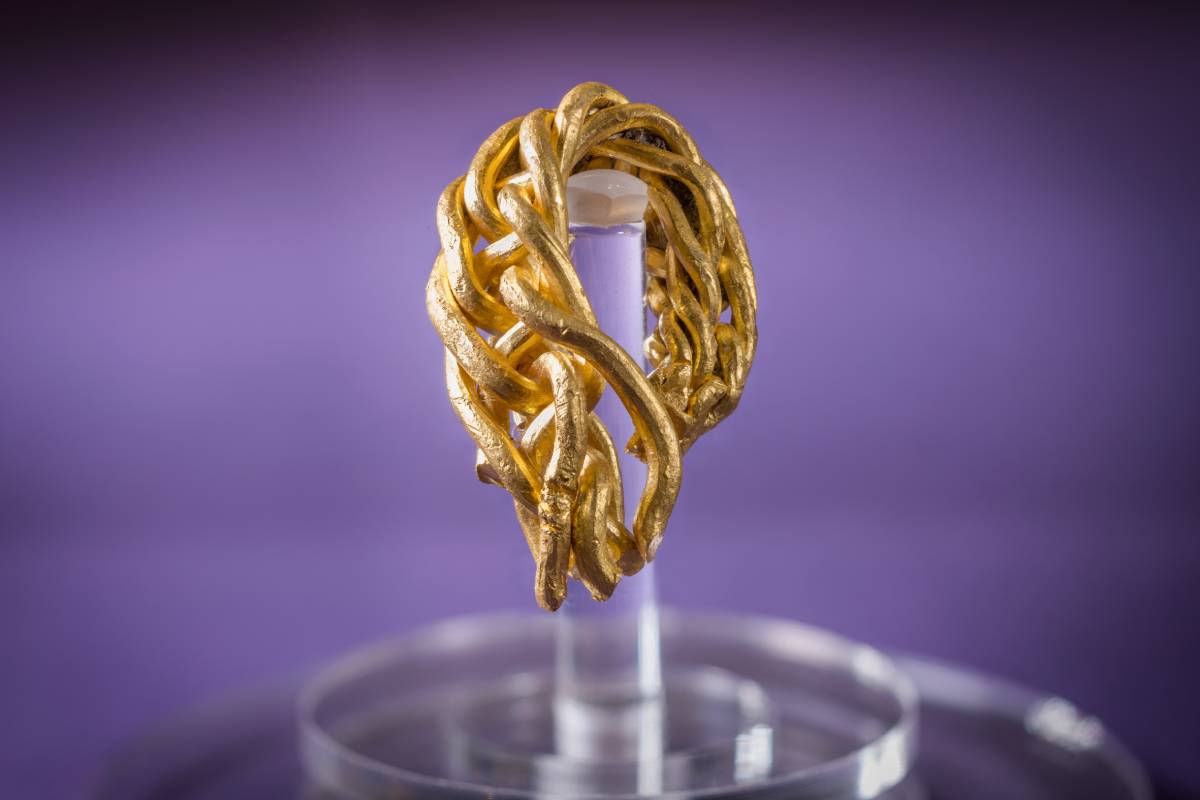 The Viking Age gold arm ring fragment was discovered in the spring of 2025 on the Isle of Man by Ronald Clucas, an experienced detectorist.