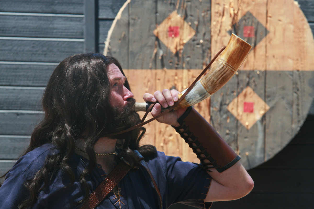 Located in Vista, California, the Vista Viking Festival offers a weekend of Viking-themed entertainment, including combat demonstrations, crafts, and traditional foods.