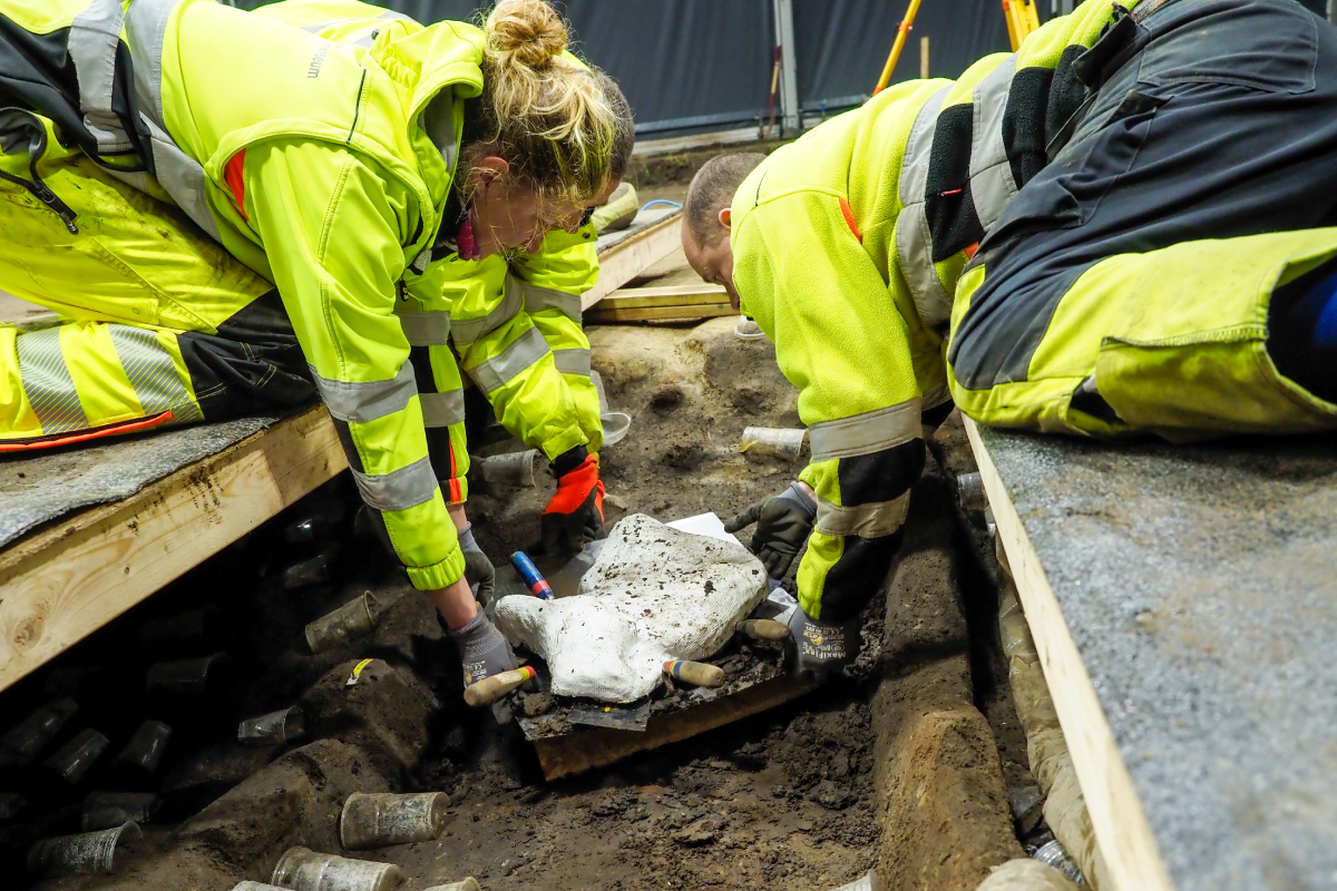 Viking archeology continues to reshape our understanding of Viking societies, from their settlements in North America to their trade routes across Europe and the Arctic.