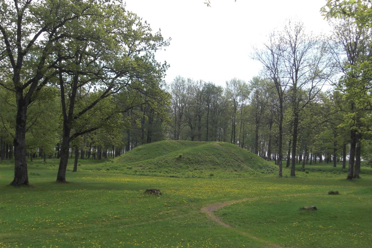 A grassy burial mound at the Borre mound cemetery in Horten, Norway, forms part of a major late Iron Age and Viking Age grave field.